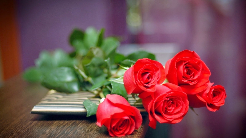 Hoa hồng đỏ tượng trưng cho tình yêu mãnh liệt bày tỏ tấm lòng thành với người yêu