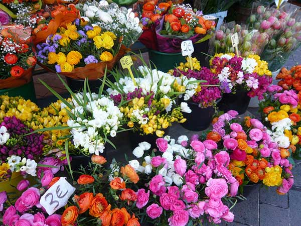 Những cành hoa đẹp nhất chất lượng nhất sẽ giúp bạn áp dụng được cách cắm hoa ngày Tết tươi lâu