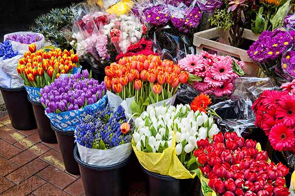Để hoa cắm bình tươi lâu khi đi chợ Tết chọn mua hoa nên lựa chọn thật kĩ