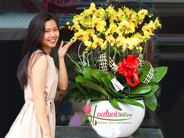 Ghé ngay cửa hàng hoa tươi quận Bình Thạnh để nhận được nhiều ưu đãi lớn