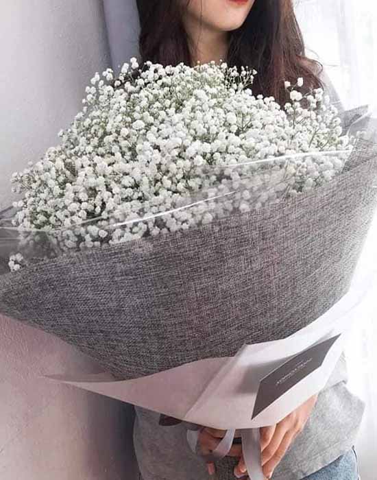 Bó hoa baby trắng - Tặng cô gái của anh