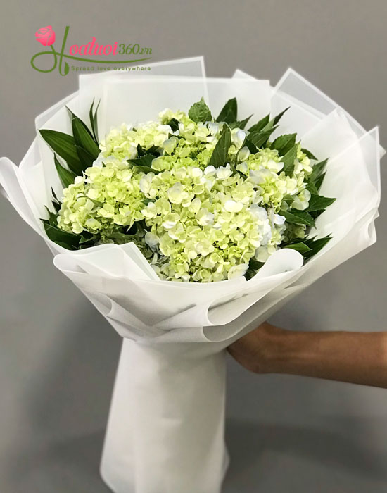 Bó hoa cẩm tú cầu - Loài hoa em yêu thích