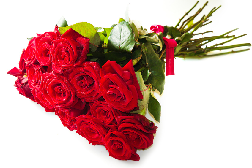Hoa hồng đỏ còn là biểu tượng của sự cảm kích, lòng biết ơn