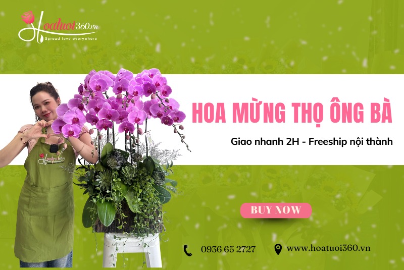79+ mẫu hoa mừng thọ ông bà, cha mẹ theo số tuổi