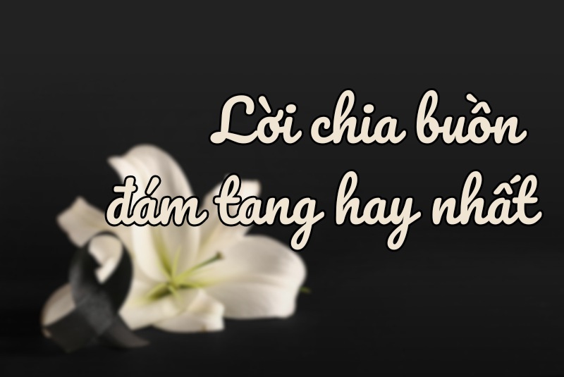 Những lời chia buồn đám tang hay nhất gửi đến người đã khuất