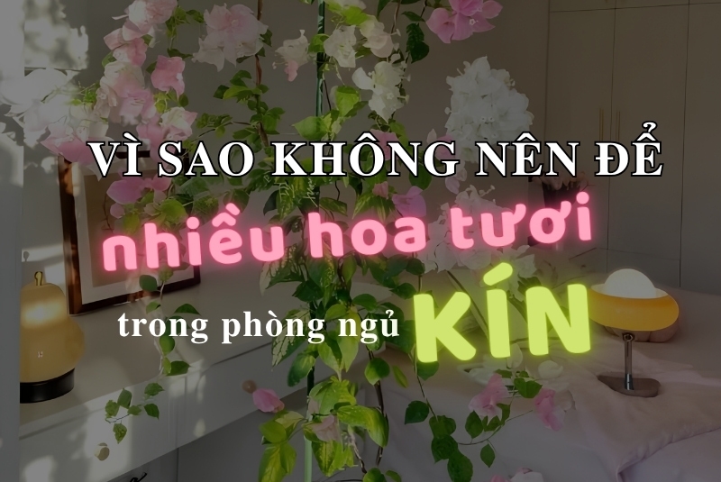 Vì sao không nên để hoa tươi trong phòng ngủ?