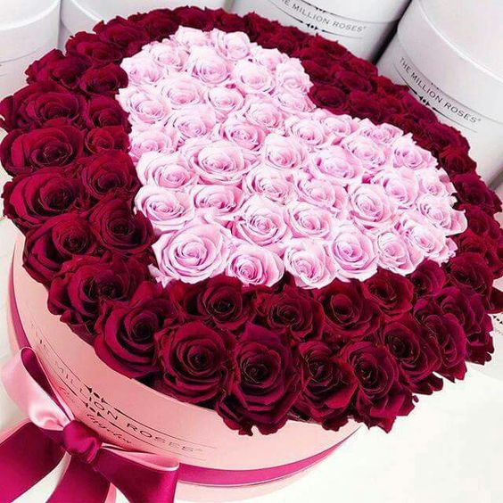 Hoa hồng tặng sinh nhật đàn bà đẹp tuyệt vời nhất nhằm tỏ tình người yêu