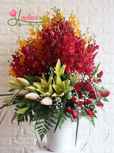 hoa chúc mừng- shop hoa Tam Quan Hoài Nhơn