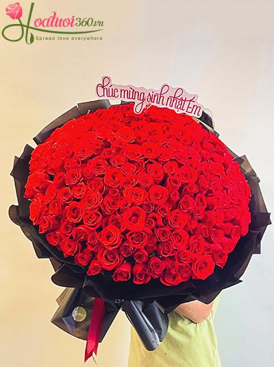 Bó hoa hồng đỏ - Ngàn tiếng yêu