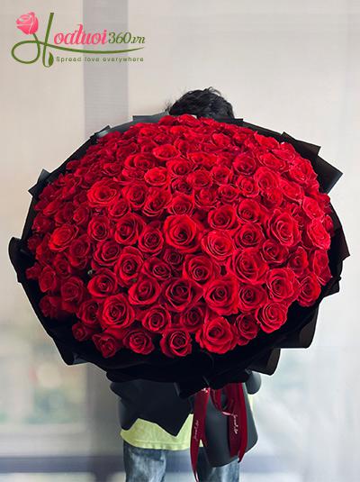 Bó hoa hồng đỏ - Người anh yêu