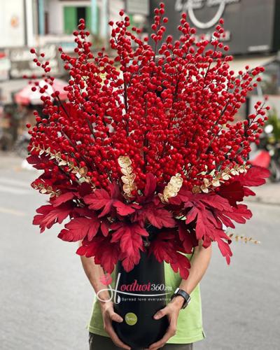 Chọn hoa đào đông đỏ đẹp chưng Tết - Thu hút nhiều tài lộc, vận may 