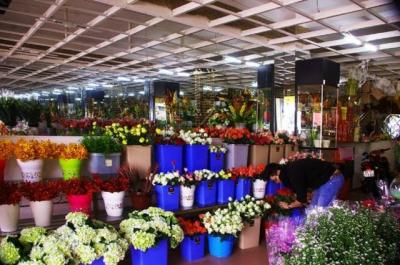 Cửa hàng hoa tươi đẹp Sài Gòn quận Phú Nhuận