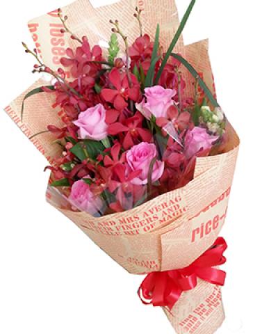 hoa tươi chức mừng ngày 27/2 đẹp rực rở hoa tươi chúc mừng ngày 27/2 đẹp rực rở