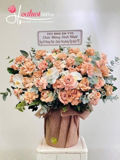 HCM - Nắng mật dịu êm