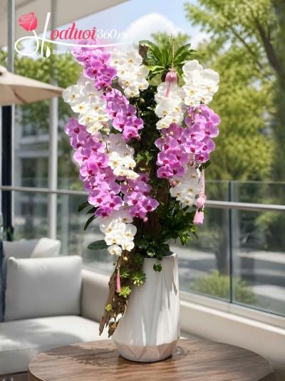 HDV - Khởi đầu hưng thịnh