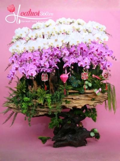 HDV - Xuân đoàn viên