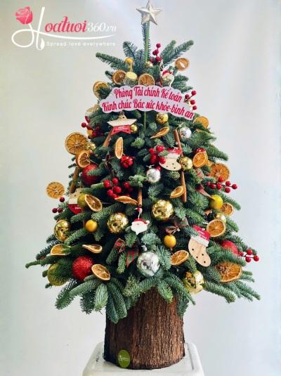 HGS - Bí mật của Santa