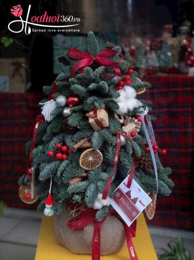 HGS - Điều ước đêm Noel