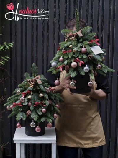 HGS - Giấc mơ tuyết trắng