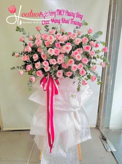 HKT - Vững bước vươn xa