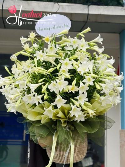 HLK - Điểm tựa bình yên