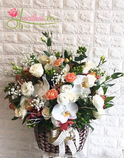 Hoa đẹp duyên dáng chào mừng ngày 27/2 hoa tươi chúc mừng ngày 27/2 đẹp rực rở