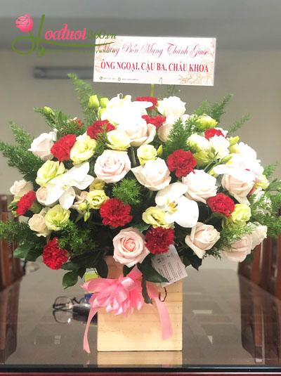 Những mẫu hoa chúc mừng ngày nhà giáo Việt Nam ý nghĩa nhất