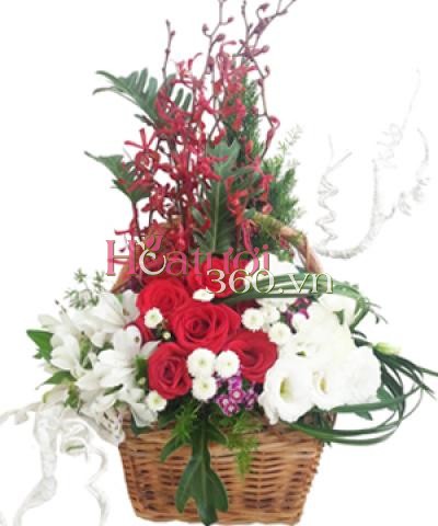 Hoa đỏ 06_Hoa tươi 360