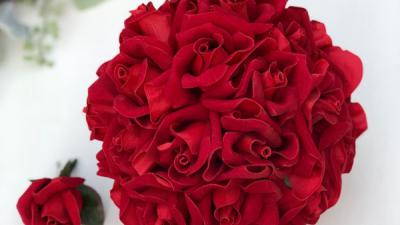 Hoa hồng nhung - Biểu tượng của sự sang trọng và đẳng cấp