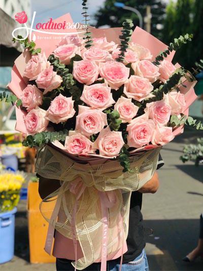 Hoa hồng Ohara - Nét thơ ngây