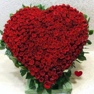 Hoa hồng trái tim cho tình yêu đẹp và ngọt ngào nhất