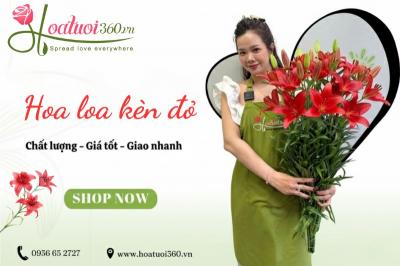 Hoa loa kèn đỏ – Bí mật về ý nghĩa, đặc điểm và cách chăm sóc