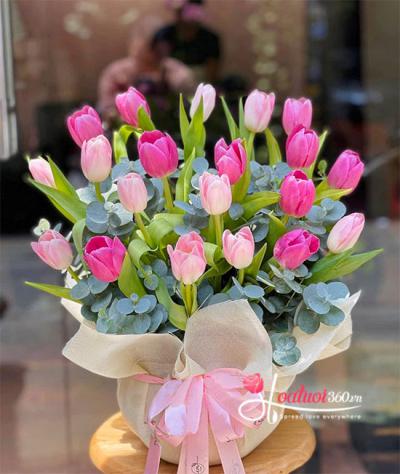 Hoa tulip - Dải màu thiên nhiên sống động mang ý nghĩa sâu sắc