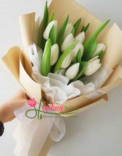 Hoa tulip trắng - Nét đẹp trong trẻo gây đắm say