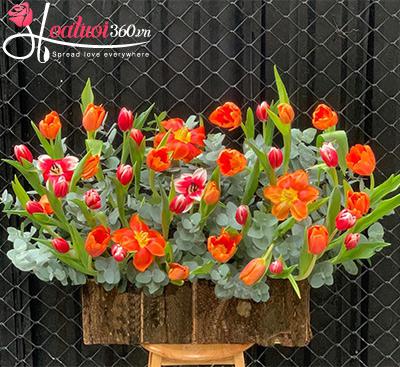 Hộp hoa tulip - Bảng màu đa sắc
