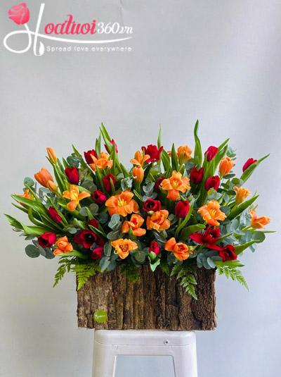 Hộp hoa tulip - Thăng hoa cảm xúc