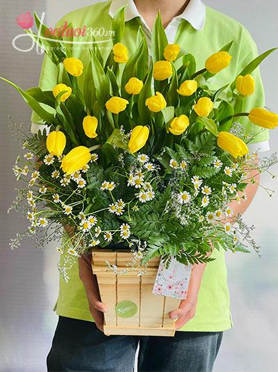 Hộp hoa tulip vàng - Mộc mạc