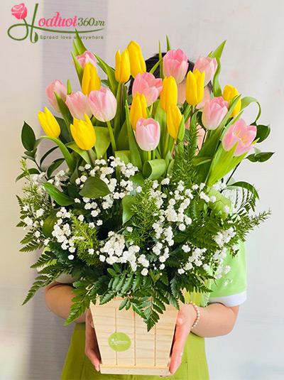Hộp hoa tulip xinh - Hàng vạn điều ước