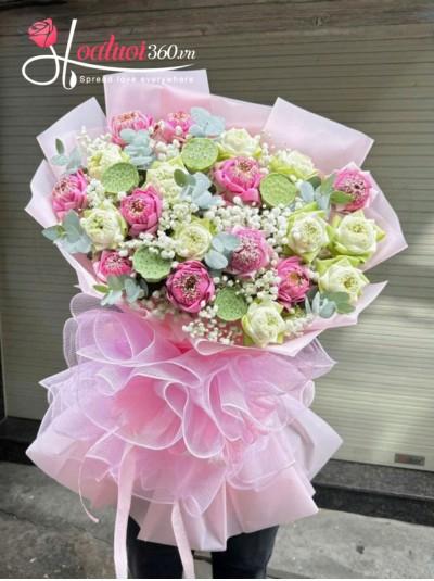 HS - Sen hồng phố thị