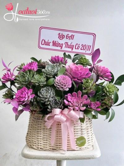 HSD - Vạn thọ bình an