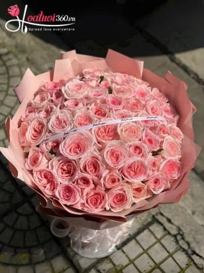 HSN - Vườn tình