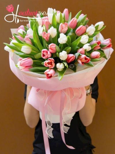 HT - Hoa cỏ mùa xuân