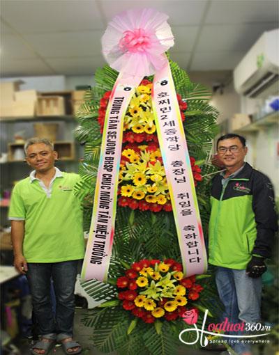 kệ hoa khai trương Hàn Quốc với hoa đồng tiền mang đến tiền tài kệ hoa khai trương Hàn Quốc với hoa đồng tiền mang đến tiền tài