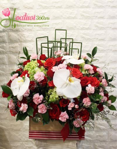  Shop hoa tươi Tam Kỳ Quảng Nam-hoa chúc mừng