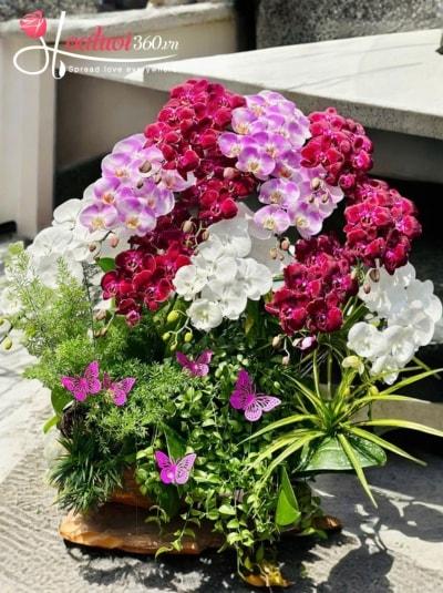 LHDGL- An khang hưng thịnh