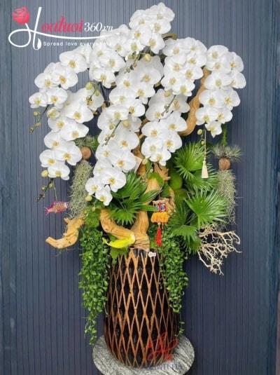 LHDGL - Khởi sự thuận buồm