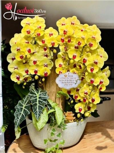 LHDGL - Ngũ phúc lâm môn