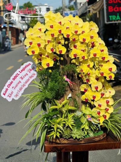 LHDGL - Thác lan tài lộc