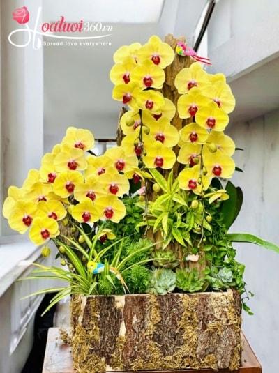 LHDGL - Vươn tới thành công