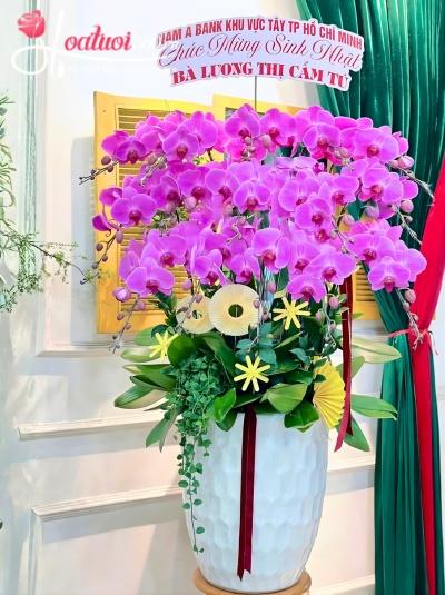 LHDH - Mộng chiều xuân